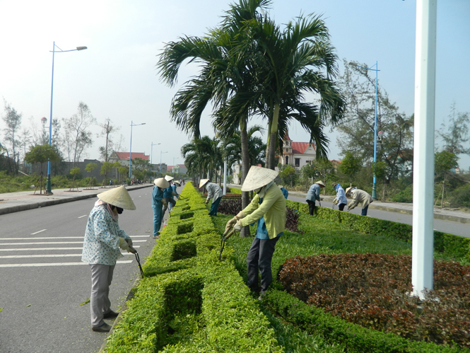 Cắt tỉa cây