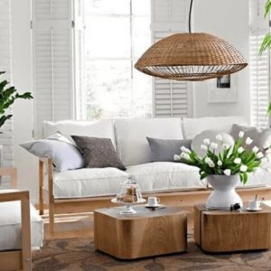 Cây Cảnh Nội Thất